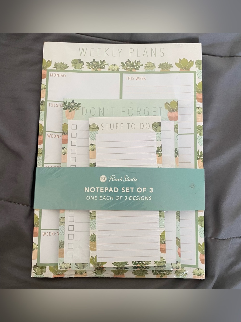 Punch Studio Succulent 3pc Notepads
